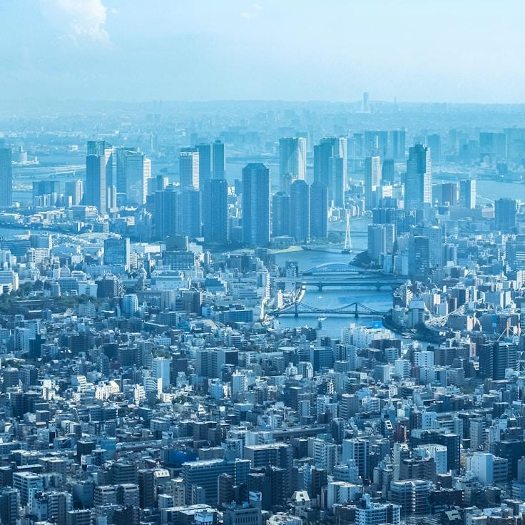 Family routine and school logistics in New York