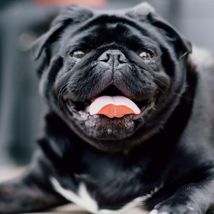 Emma Smith - Founder of Ripple Glass Mead